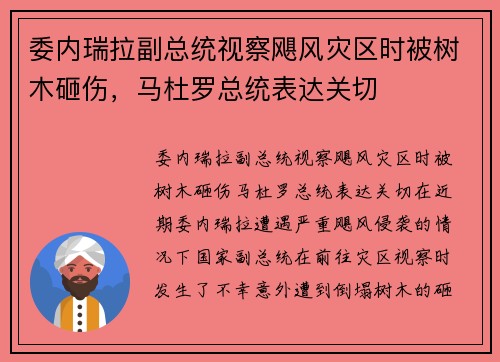 委内瑞拉副总统视察飓风灾区时被树木砸伤，马杜罗总统表达关切