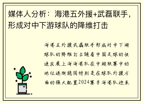 媒体人分析：海港五外援+武磊联手，形成对中下游球队的降维打击