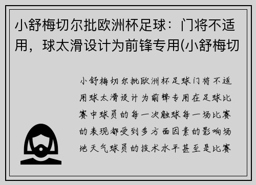 小舒梅切尔批欧洲杯足球：门将不适用，球太滑设计为前锋专用(小舒梅切尔厉害吗)