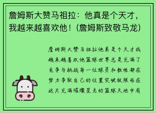 詹姆斯大赞马祖拉：他真是个天才，我越来越喜欢他！(詹姆斯致敬马龙)