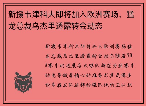 新援韦津科夫即将加入欧洲赛场，猛龙总裁乌杰里透露转会动态