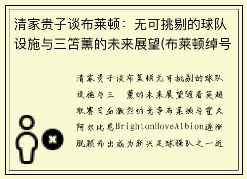 清家贵子谈布莱顿：无可挑剔的球队设施与三笘薰的未来展望(布莱顿绰号)